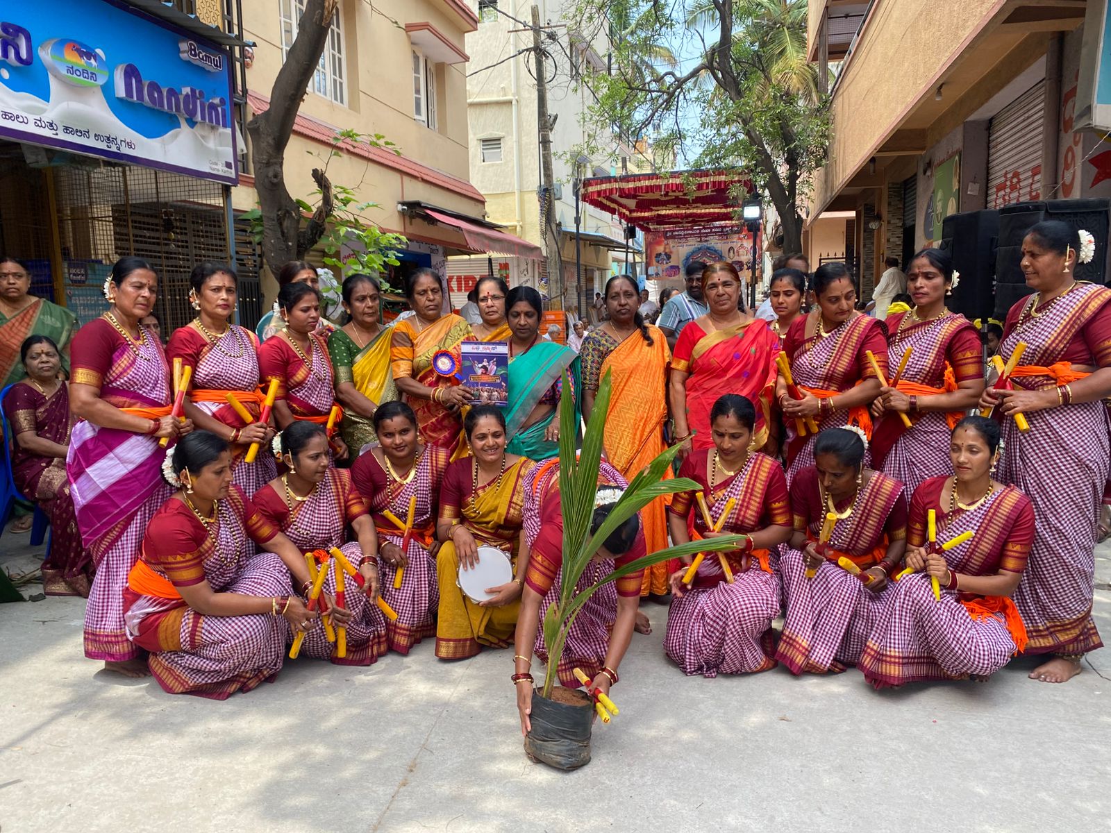 Tree Plantation